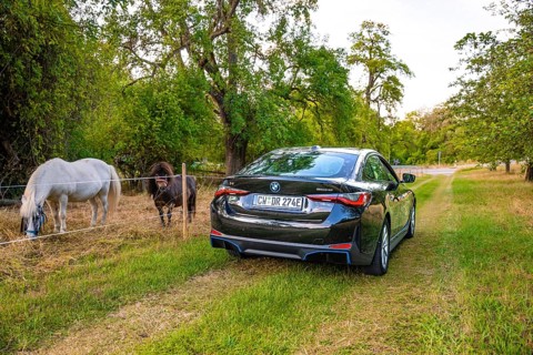 Rear view of an electric car on a rural path, horses grazing next door surrounded by trees, BMW I7
