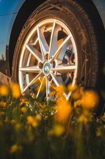 Car rim in focus, framed by yellow flowers, BMW i7 electric car, Deer e-Carsharing, Calw, Germany