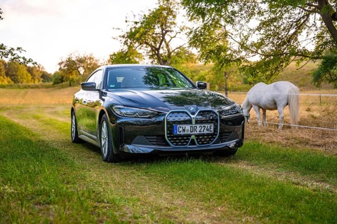 Black electric car standing in a meadow next to a white horse, trees in the background at sunset,