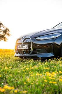 Front of a car on a meadow strewn with flowers in warm sunset light, BMW i7 electric car, Deer