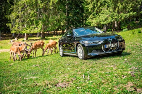 Black car parked on a green field near a forest, surrounded by deer, BMW i7 electric car, deer