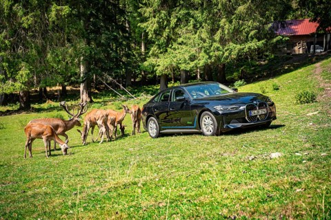 Black car next to a group of deer in a meadow in the forest, BMW i7 electric car, Deer