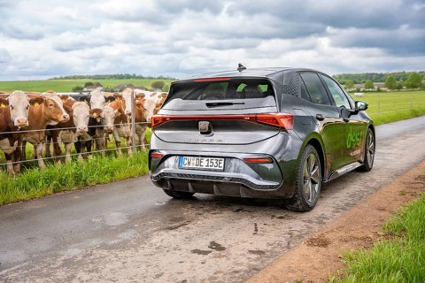 An electric car drives on a country road along green fields with cows, Cupra, Deer E-CarSharing,
