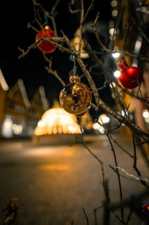 Christmas shot with balls on a branch, blurred background with brightly lit fountain, Calw, Black