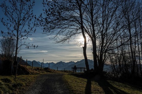 Hiker sitting on bench under bare trees, Reichenbach, back light, mountains of the Allgäu Alps,