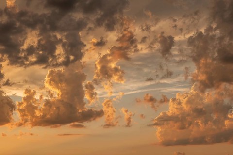 A brilliant sunset casts warm colors across a cheerful meadow. Dark clouds dominate the sky, while
