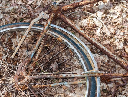 Destroyed, rusty bicycle wreck in the forest, broken Dutch bike, old bicycle lying damaged on the