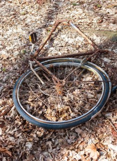 Destroyed, rusty bicycle wreck in the forest, broken Dutch bike, old bicycle lying damaged on the