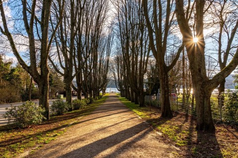 Winter at Lake Baldeney in Essen, Strandbad boat stop, closed in winter, tree-lined avenue leading