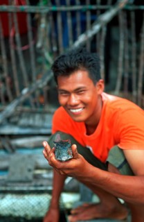 Man showing fish, fish farm in the tidal river near Krabbi, two years in front of the tsunami,