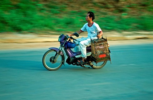 Man on moped holding birdhouses, Krabi, Thailand, December 2002, vintage, retro, old, historic