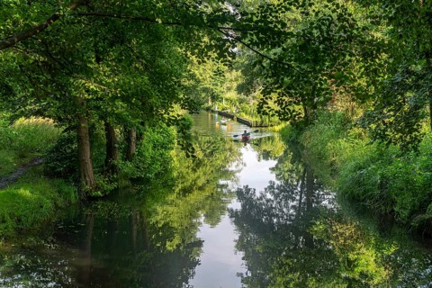 Canal or Spreewaldfließ in the Spreewald near Spreewalddorf Lehde, Lübbenau/Spreewald, Brandenburg,
