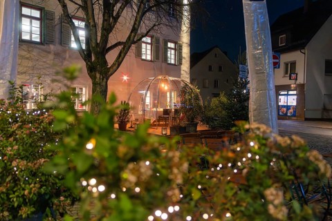 An illuminated dome at night with plants in the foreground, outdoor lights, and street atmosphere,