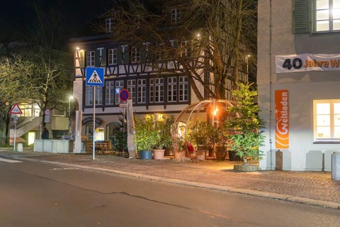 An illuminated street with a half-timbered house and a decorative dome next to plants under a night
