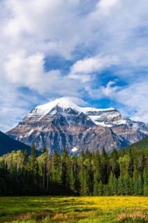Majestic mount robson, the highest peak in the canadian rockies, towers over a lush meadow and