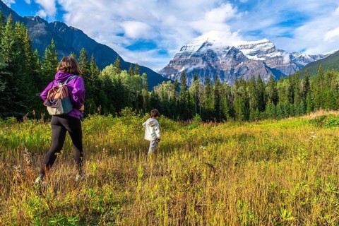 Hikers traversing a vibrant meadow under the warm sun, with mount robson towering majestically in