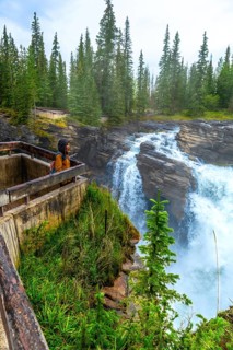 Hiker enjoying the breathtaking view of athabasca falls plunging into the canyon, surrounded by