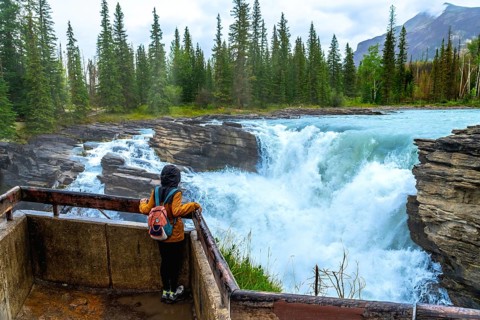 Tourist in a yellow raincoat and backpack admiring the stunning view of athabasca falls, a powerful