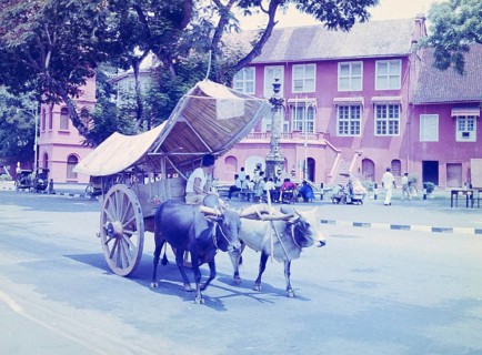 Ox cart passing historic buildings of Stadthuys or Dutch Town Hall, Red Square, Malacca, Malaya,