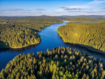 Aerial view, drone photo: spruce forest and beech trees at the Eibenstock drinking water reservoir,