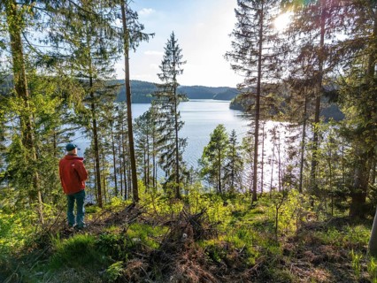A man hiking through the spruce forest looks at the reservoir of the Eibenstock drinking water dam,