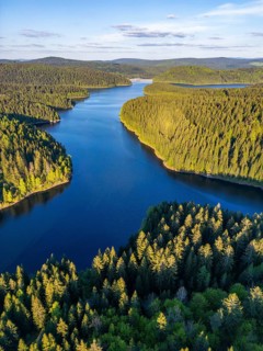 Aerial view, drone photo: spruce forest and beech trees at the Eibenstock drinking water reservoir,