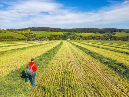 Aerial view, drone photo: Hiker standing in a freshly mown field with a view of Schwarzbach church,