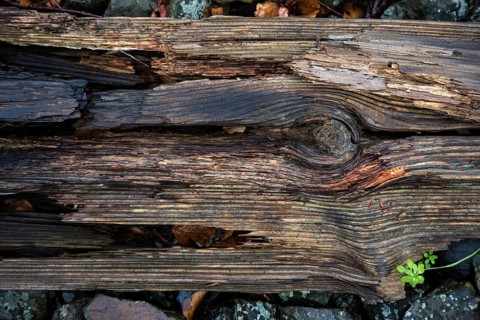 Old weathered railway threshold, detail photo, near Bresewitz station, near Zingst,