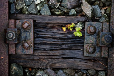 Old weathered railway threshold with rail fortification, detail photo, near Bresewitz station, near