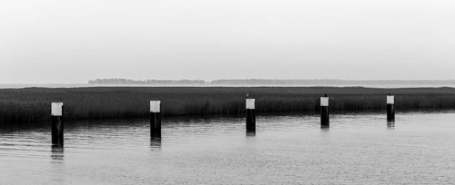 Lagoon landscape at the Meinigenbrücke near Zingst, black and white recording, panorama,
