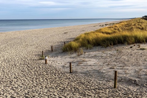 Beach and sea, Prerow, Fischland-Darß-Zingst, Western Pomerania Lagoon Area National Park,