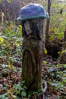 Face carved into wooden trunk, Mütze, near Prerow, Fischland-Darß-Zingst, Western Pomerania Lagoon
