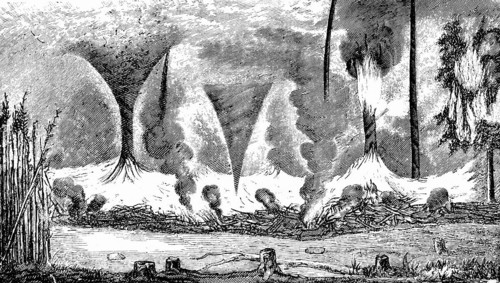 How whirlwinds arise over burning cane bushes, fire, lakeside, thatch, nature, warmth, rising warm
