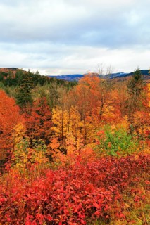 Scenic View, Fall Leaves, Indian Summer, Sugar Hill Observation Deck, Kancamagus Highway, White