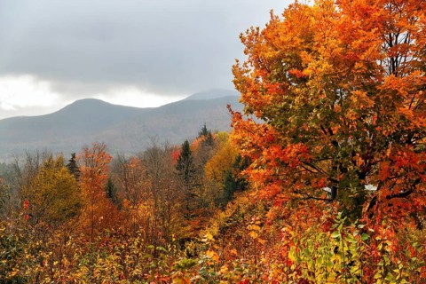 Fall Leaves, Indian Summer, Fall Weather, Sugar Hill Observation Deck, Kancamagus Highway, White