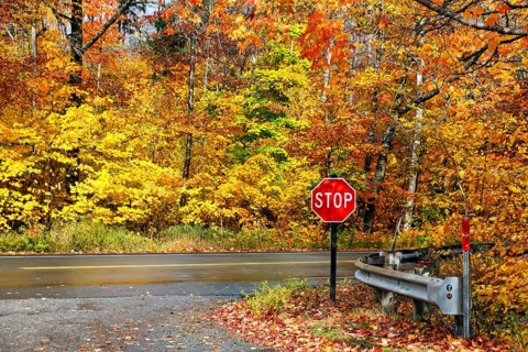 Autumn leaves, Indian summer, stop sign, traffic sign, Kancamagus Highway, White Mountain, New