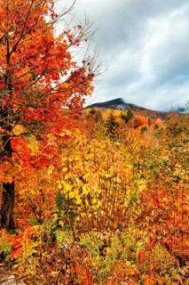 Scenic View, Fall Leaves, Indian Summer, Fall Weather, Sugar Hill Observation Deck, White Mountain,