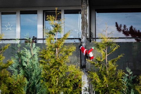 A Santa Claus figure hangs on a concrete behind fir trees, Wuppertal, Germany
