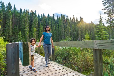 Mother and her son are holding hands and walking along a wooden bridge, surrounded by lush green
