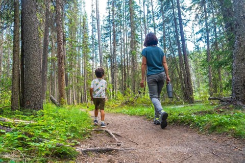 Mother and son enjoying a leisurely hike through a lush green forest in banff national park,