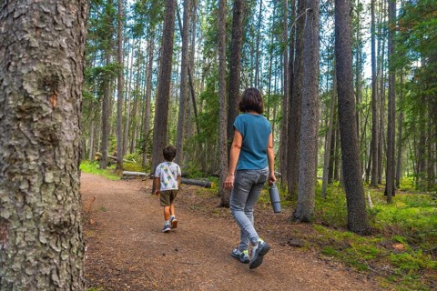Mother and son enjoying a leisurely hike along a picturesque forest trail in banff national park,