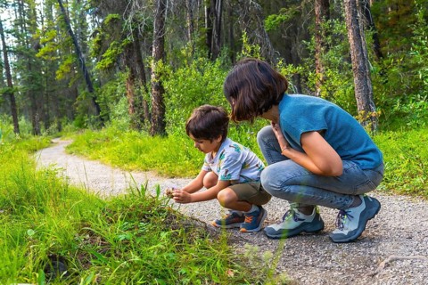 Mother and her son are crouching down, examining wildflowers along a gravel path in the lush