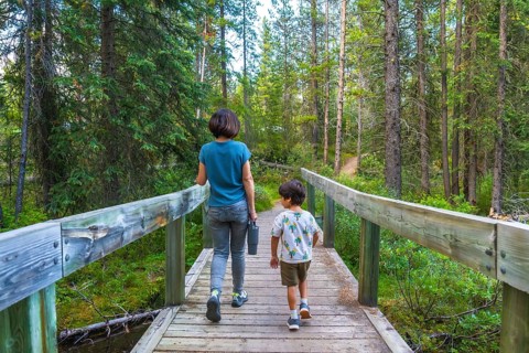 Mother and son enjoying a leisurely hike, crossing a picturesque wooden bridge amidst the lush