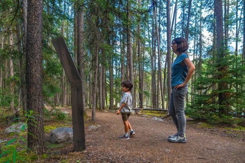 Mother and son reading an information sign while walking a forest path in banff national park,