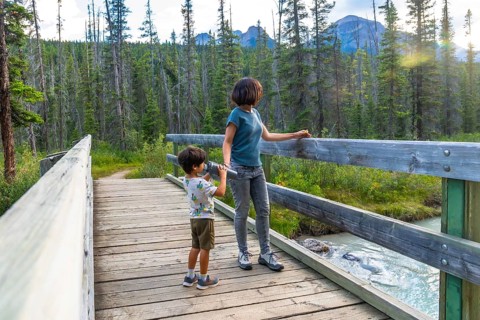 Mother and son using binoculars observing the landscape from a wooden footbridge over a creek in