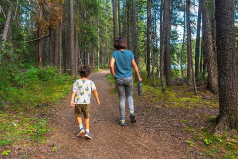 Mother and son are enjoying a leisurely hike through a lush forest trail in banff national park,