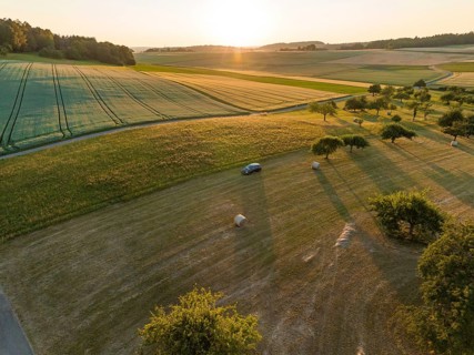 A car is parked in the middle of a rural field, surrounded by meadows and trees at sunset, deer
