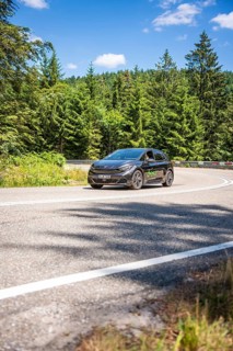 A black car drives on a winding road through a green forest on a sunny summer day, deer e-car