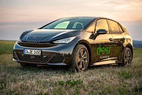 Black car in a meadow at sunset with reflections on the paint, Deer e-car sharing, Cupra electric