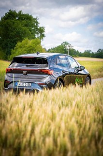 Car driving on a country road through a green field, Deer E-Car Sharing, Cupra electric car,